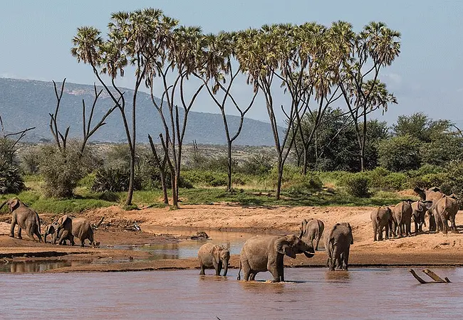 Samburu National Reserve — northern Kenya rugged landscape
